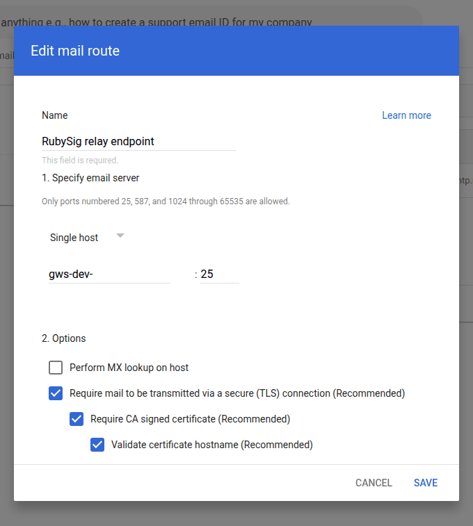 Add route dialog with the RubySig relay address as a single host and all three TLS options ticked